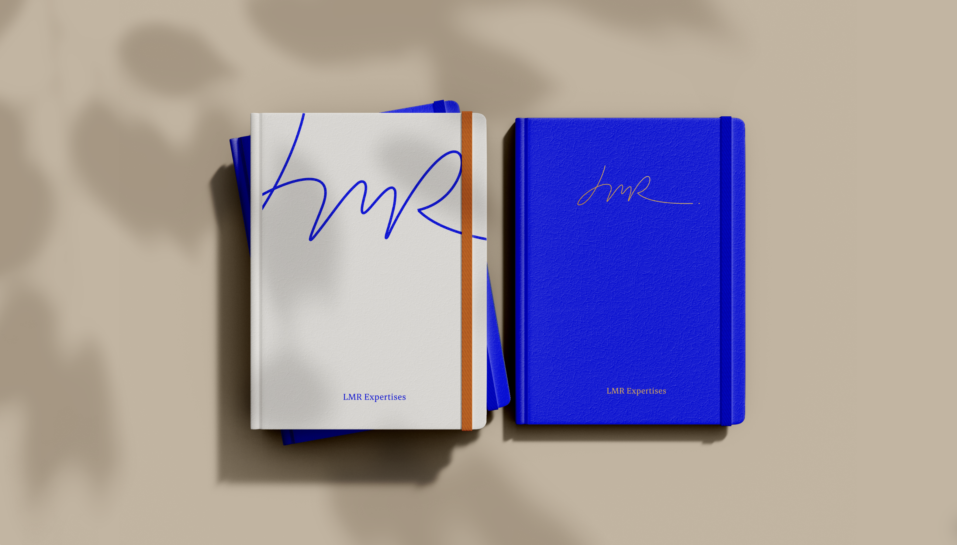 Détails du projet LMR Expertises